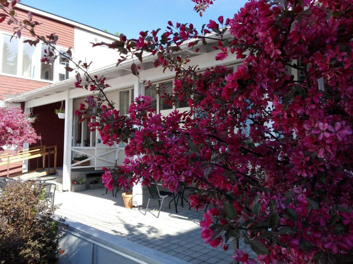 Kristinebergs Bed & Breakfast Mora Exterior photo